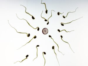 Read more about the article Does Releasing Sperm Affect Muscle Growth? full Guide 2024