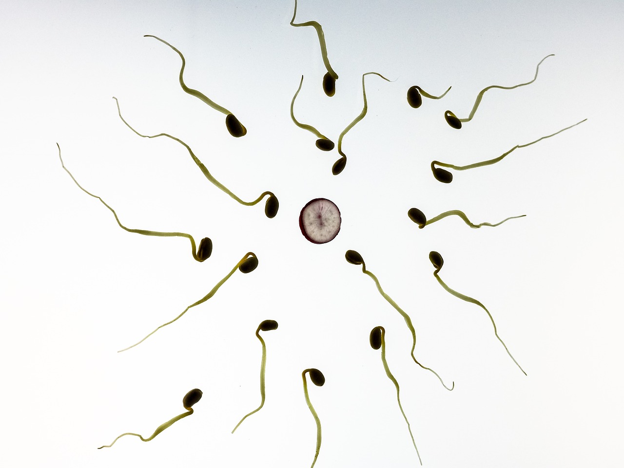 You are currently viewing Does Releasing Sperm Affect Muscle Growth? full Guide 2024