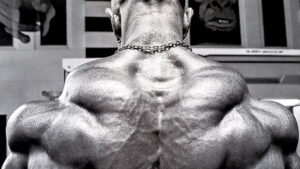 Read more about the article Top 10 Lower Trap Exercises for a Stronger Upper Back